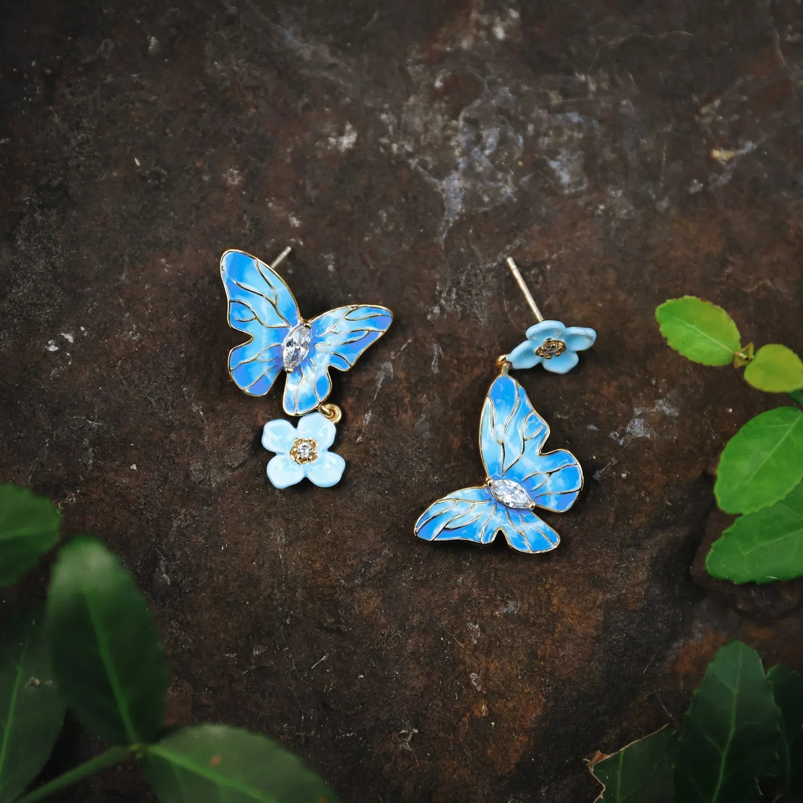 Blue Morpho Butterfly Gift Set with Gift Wrapping