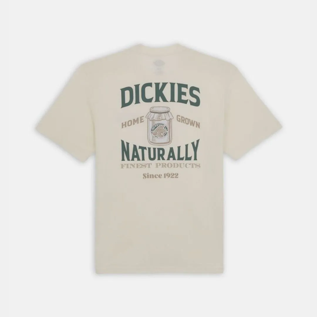 Dickies Elliston Tee T-Shirt Cloud