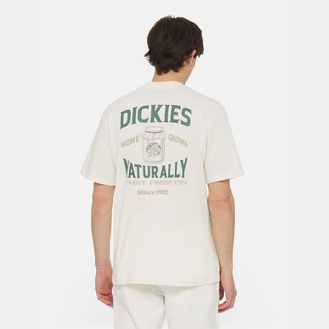 Dickies Elliston Tee T-Shirt Cloud