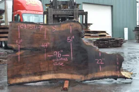 Oregon Black Walnut Slab 030321-07