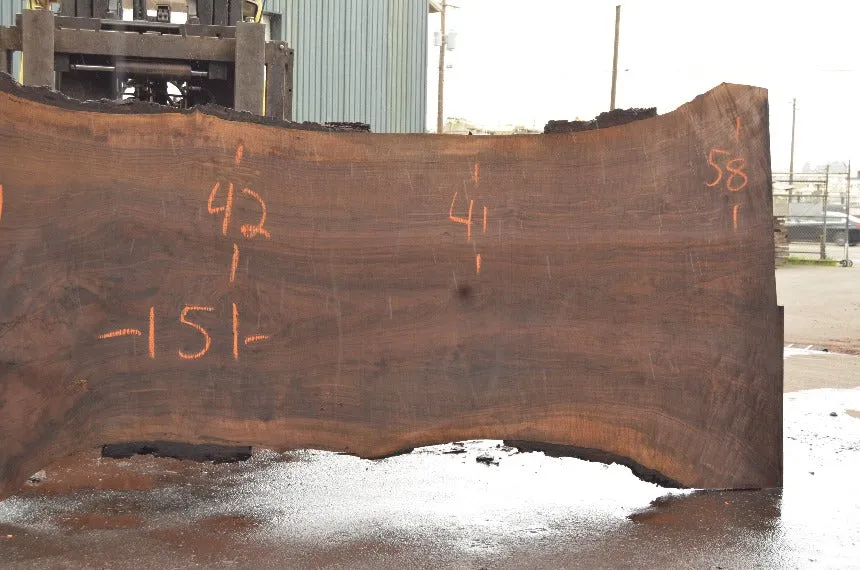 Oregon Black Walnut Slab 040822-04