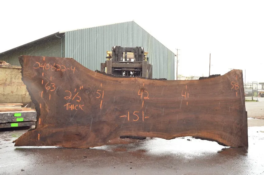 Oregon Black Walnut Slab 040822-04