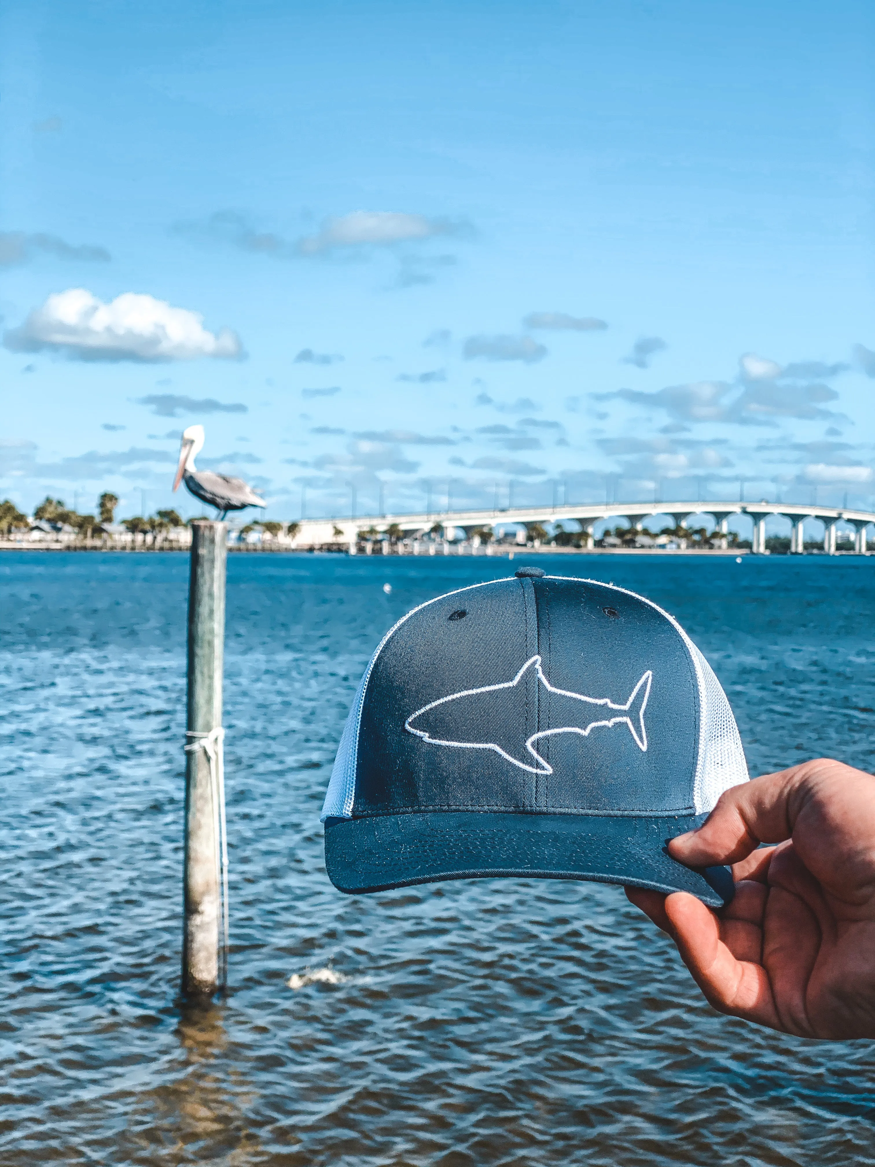 Shark Outline Structured Adjustable Hat