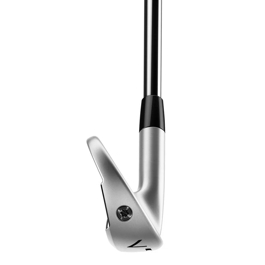 TaylorMade P770 Asian Spec Steel Irons