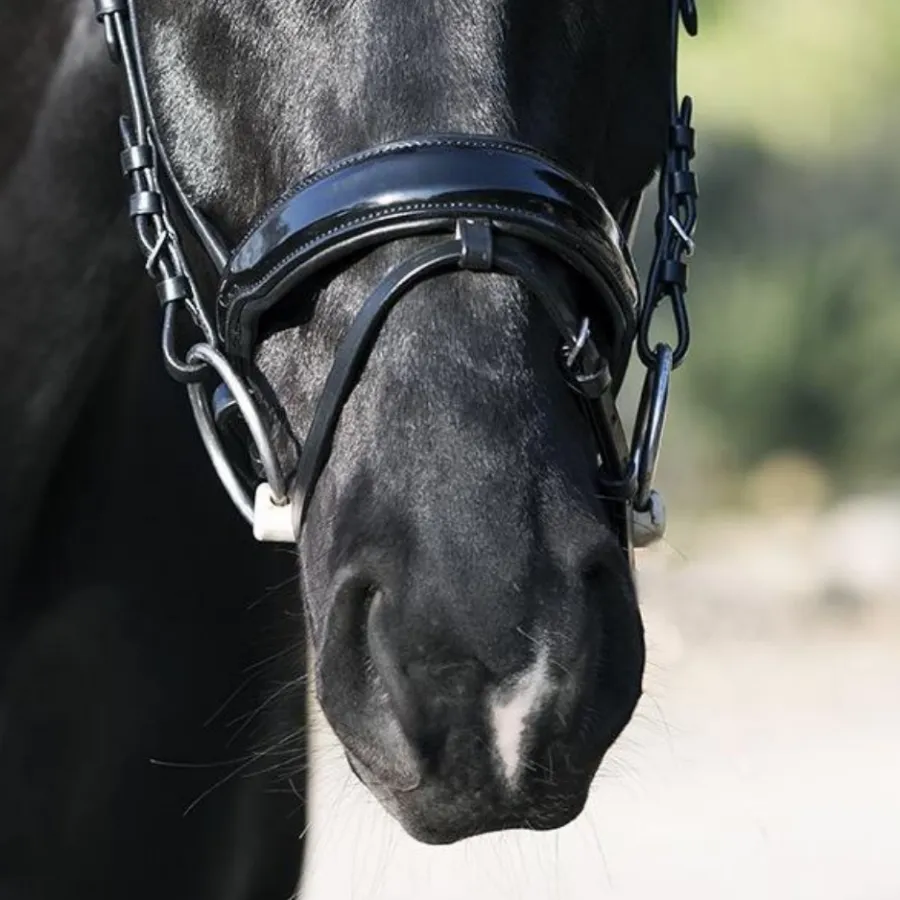 Vento Black Patent Snaffle Bridle