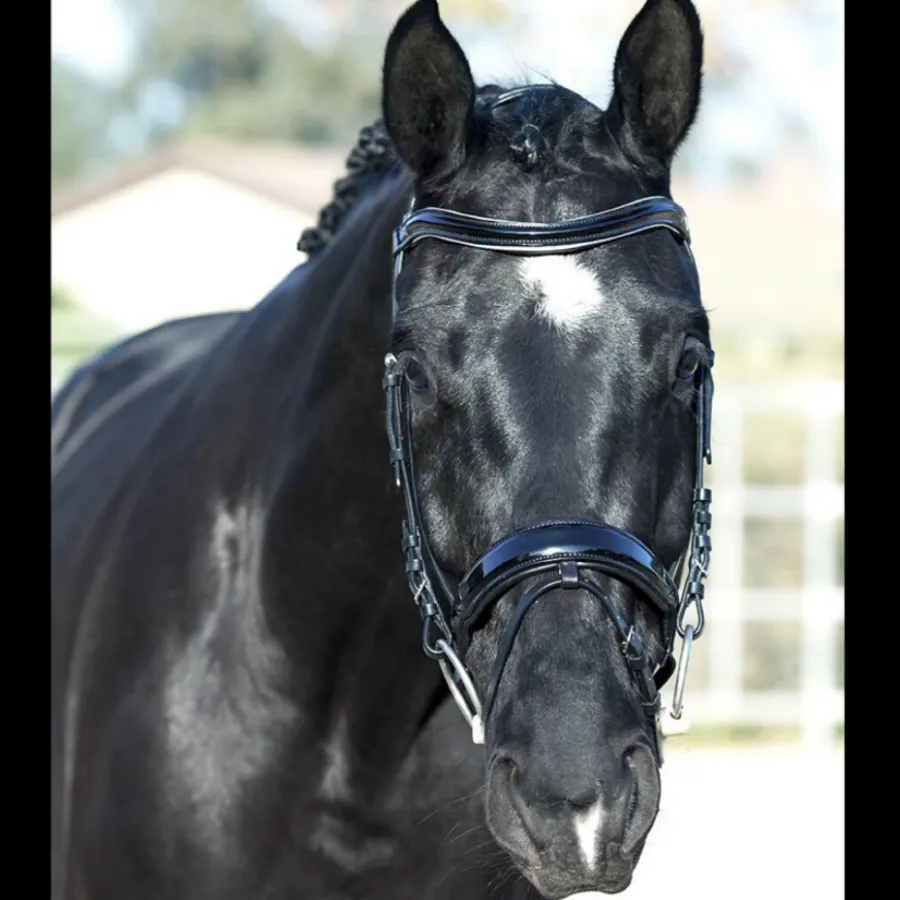 Vento Black Patent Snaffle Bridle